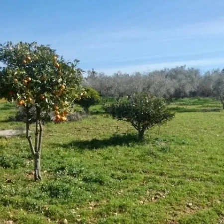 Marismas Llucmajor (Mallorca)